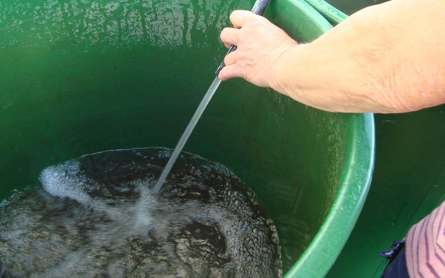 A person cleaning a rain barrel. A person cleaning a rain barrel.
