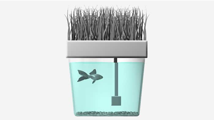 Aquaponic Systems