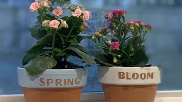 Pastel Garden Pots
