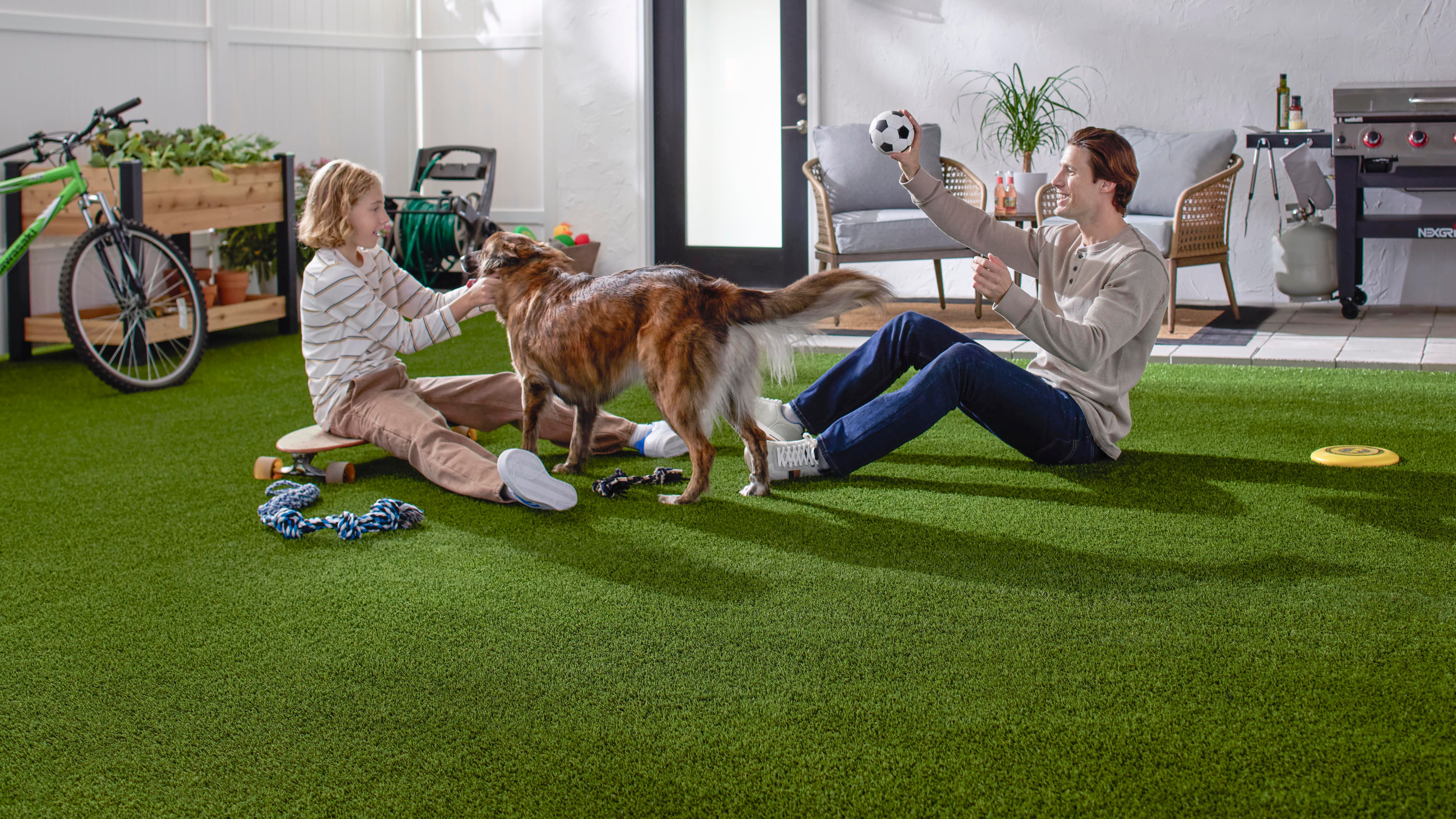 Image for ARTIFICIAL GRASS
