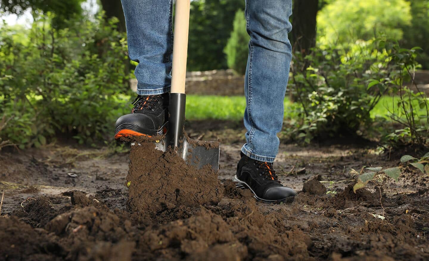 Gardener uses a shovel to dig in fresh garden soil