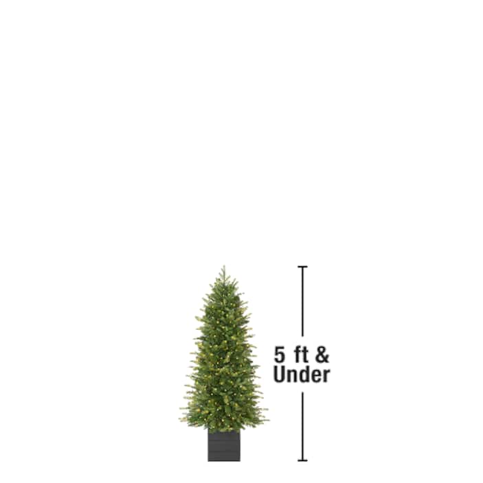 5 ft. & Under