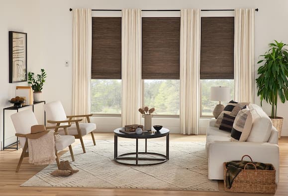Window Shades Tampa
