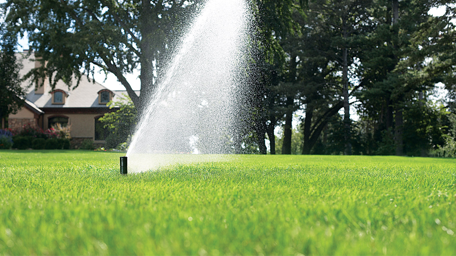 Image for GREENER DAYS START HERE