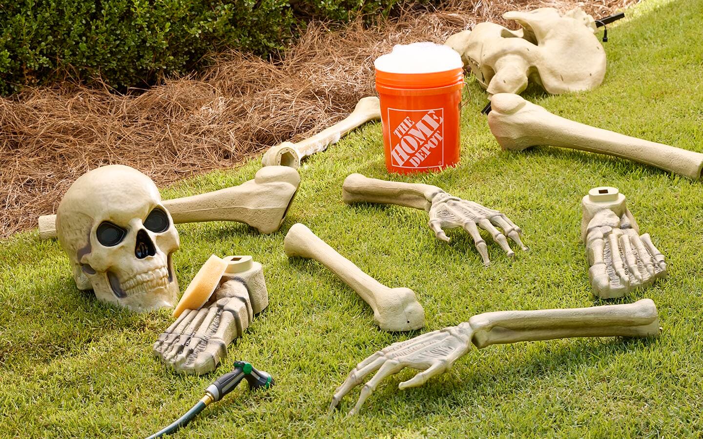 The pieces of Skelly lie on the grass near a bucket with suds. The pieces of Skelly lie on the grass near a bucket with suds.
