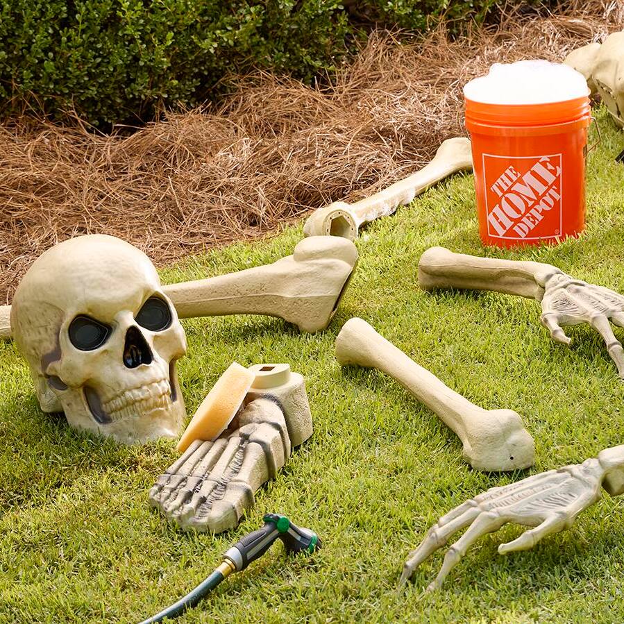 How to Assemble Skelly