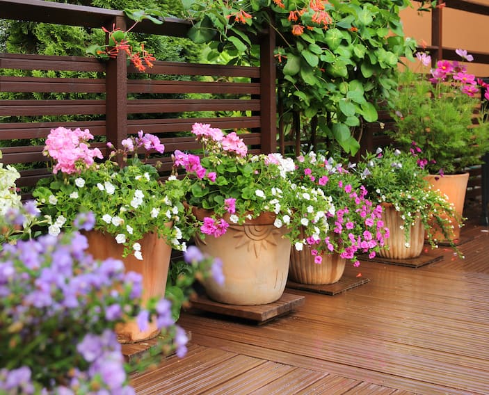 Potting & Containers
