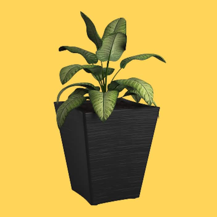 Planters
