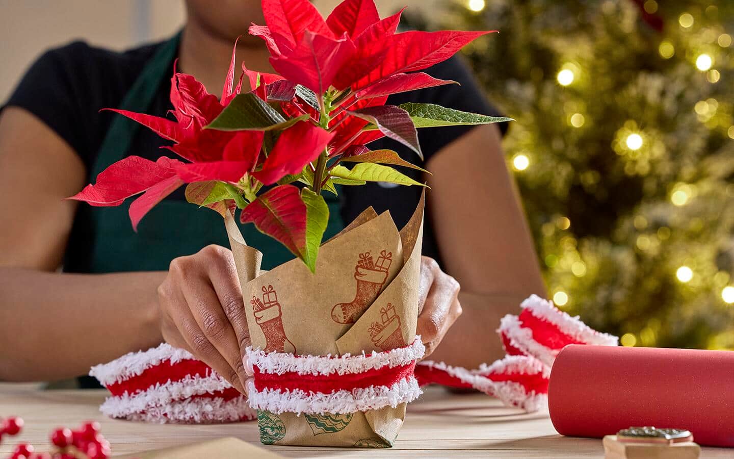 Person places a ribbon on a paper-covered pot with poinsettia plant
