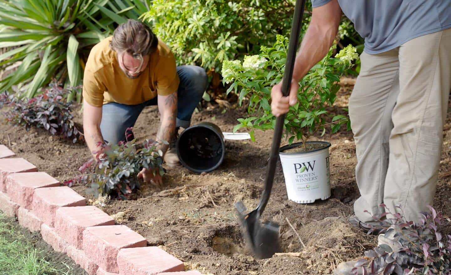 Plants are planted in the fill dirt behind a new retaining wall.