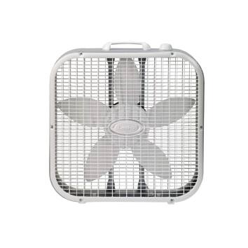 Image for Fans