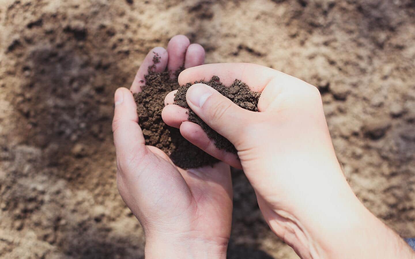 Person holds soil in hands
