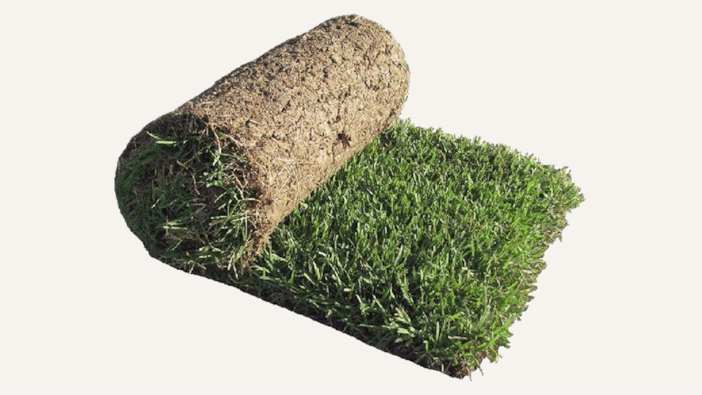 Sod Roll