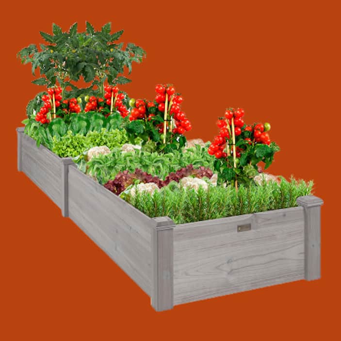 Raised Garden Beds