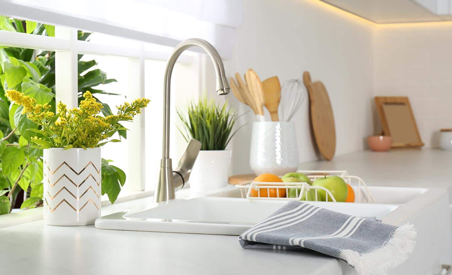 Plants and fruits placed in a kitchen.