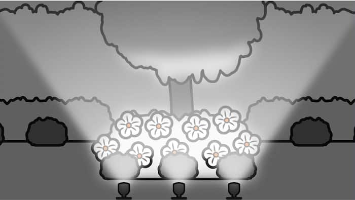 Spotlights