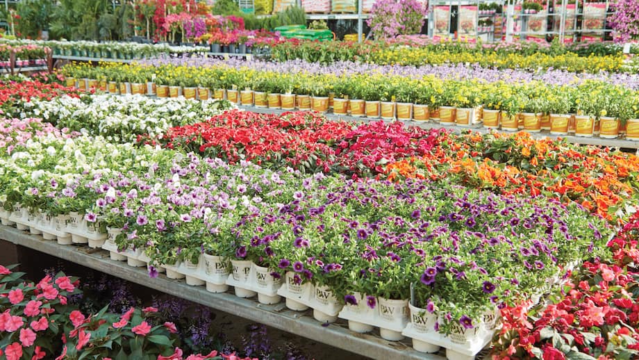 Hooks & Brackets – Floral Acres Greenhouse & Garden Centre