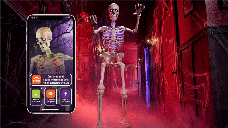 Image for Meet the Newest member of the skelly family