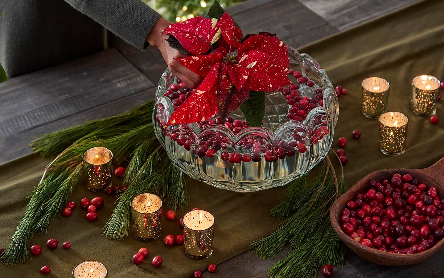 Poinsettia bloom in a punch bowl filled with water and floating fresh cranberries Poinsettia bloom in a punch bowl filled with water and floating fresh cranberries