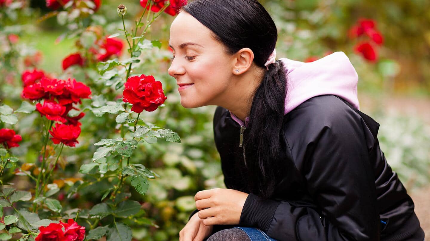 Best Perennials for Your Garden