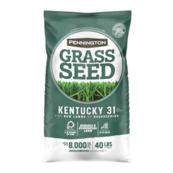 Image for Grass Seed