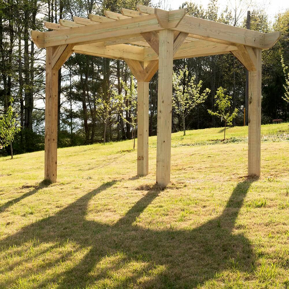 A pergola constructed of pressure treated pine lumber in a grassy, sunny, yard with newly planted fruit trees in the background.