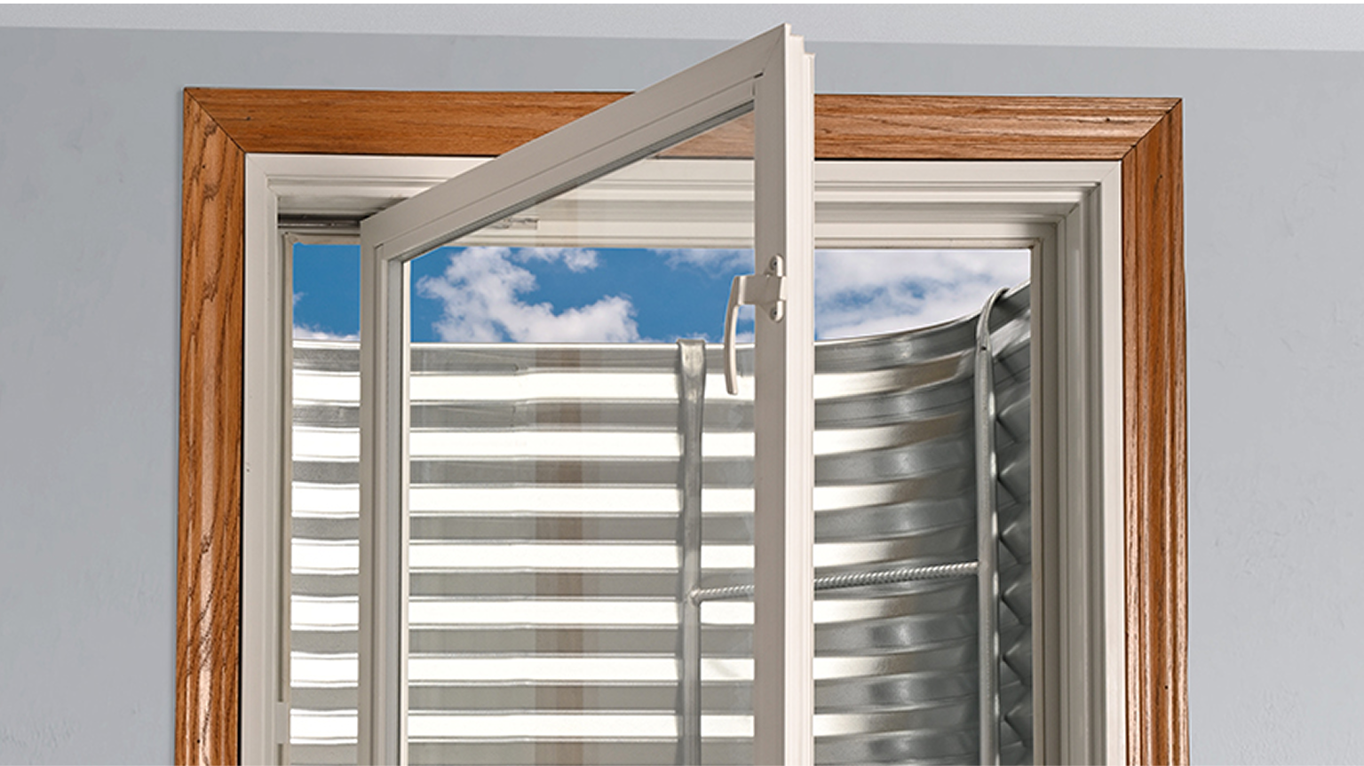 Image for WATCH YOUR BASEMENT TAKE SHAPE