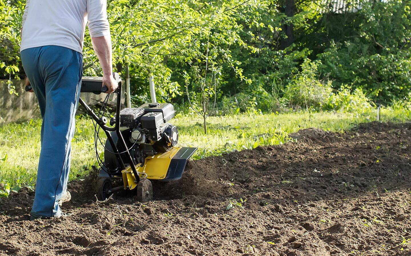 A gardener using a tiller in a garden. A gardener using a tiller in a garden.