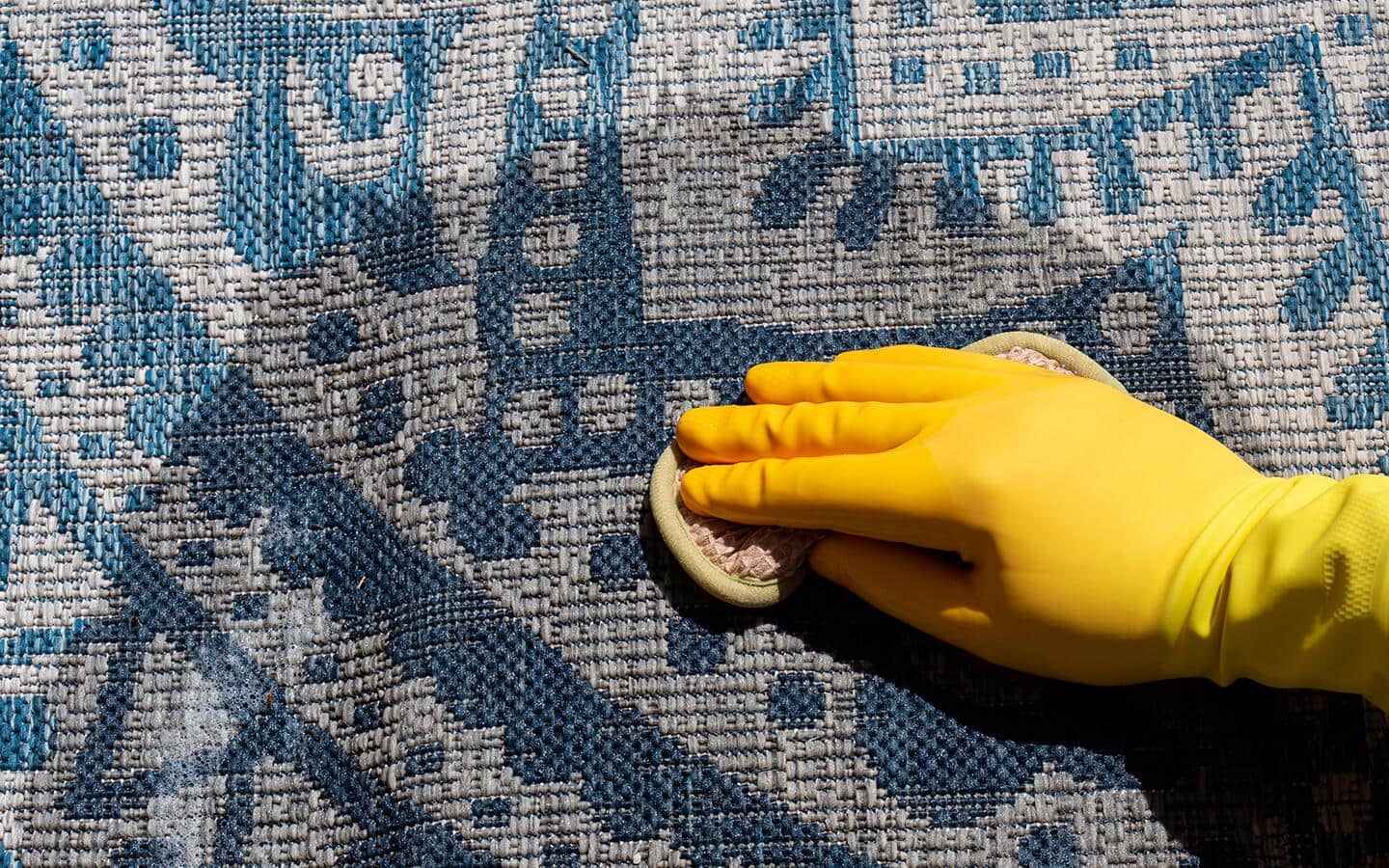 A gloved person spot-treating a rug with a sponge.