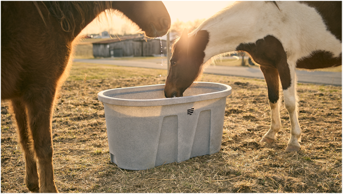 Livestock Tanks