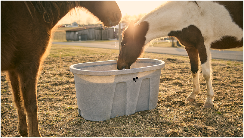 Livestock Tanks Livestock Tanks
