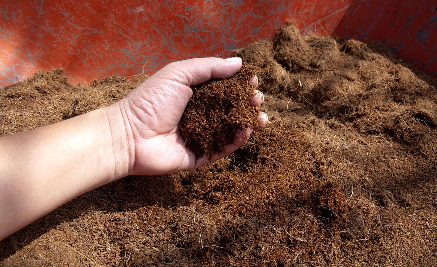 Gardener checks soil with their hands