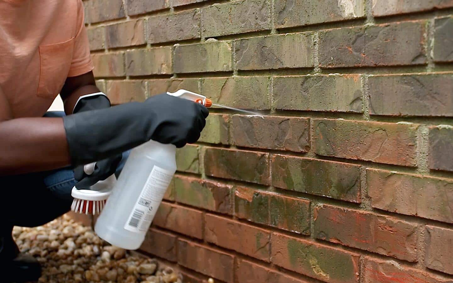 A person applies cleaning solution, using a spray bottle, to algae on a brick wall.