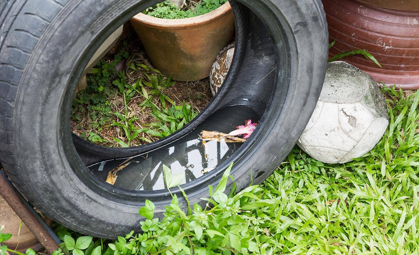 An old tire in a yard with standing water and leaf debris