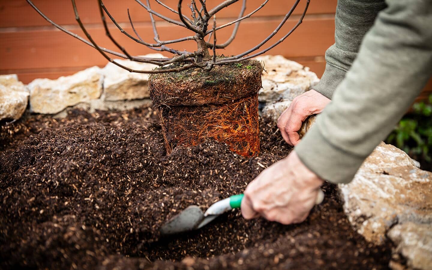 Gardener mixes soil conditioner into garden soil before planting a shrub Gardener mixes soil conditioner into garden soil before planting a shrub