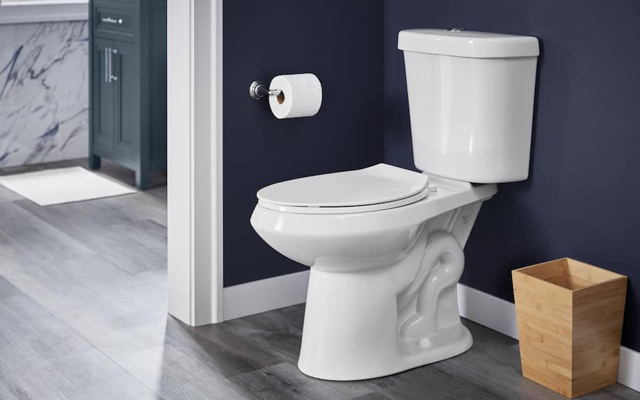 Deciding between wall-mounted commode vs floor-mounted commode