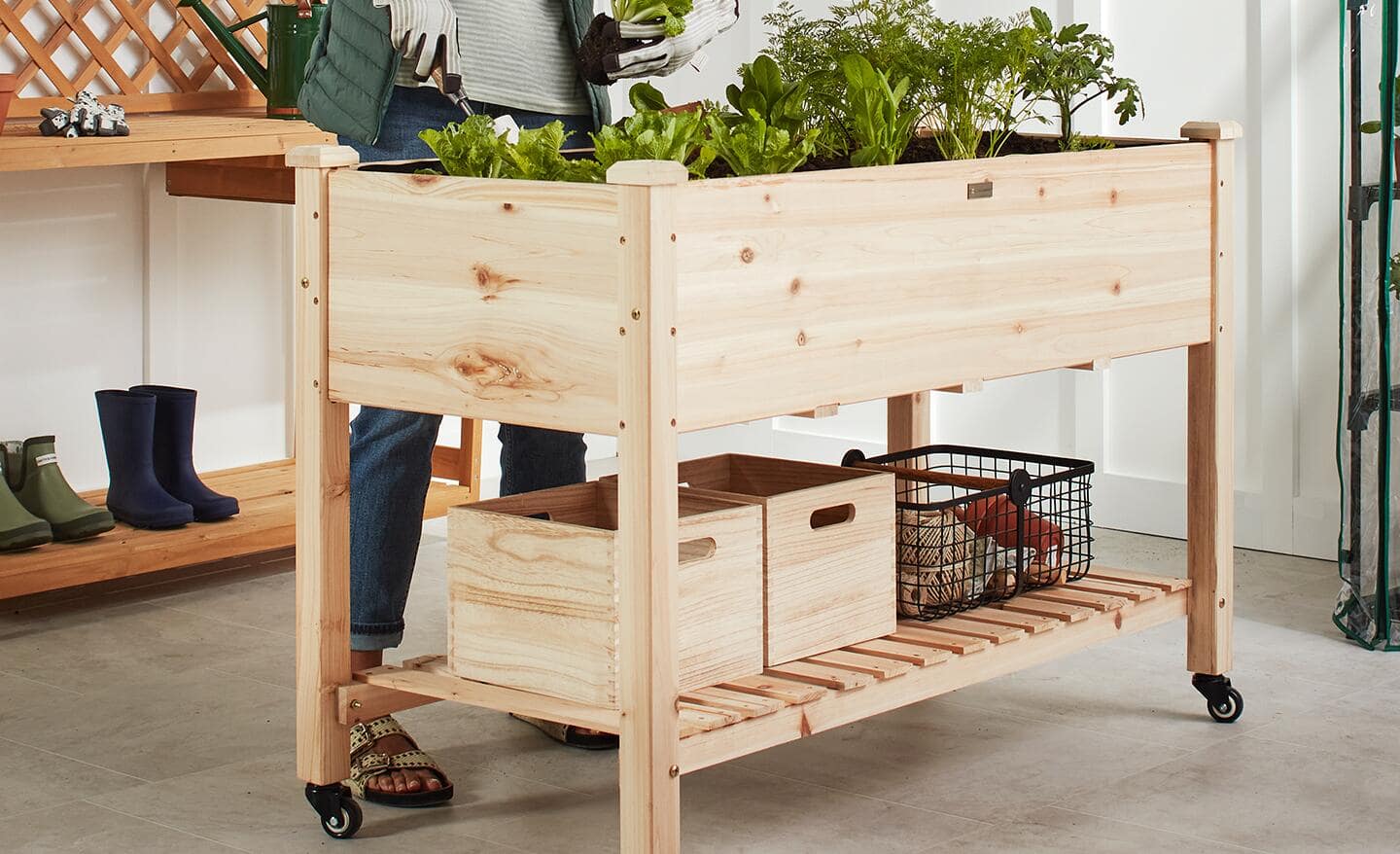 A person standing by a wooden raised garden bed with wheels that's full of lush greenery. 