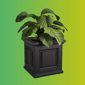 Select Planters