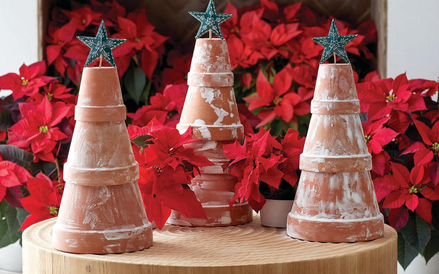 Whitewashed terracotta pots topped with stars make cute Christmas tree decorations from the garden. Whitewashed terracotta pots topped with stars make cute Christmas tree decorations from the garden.