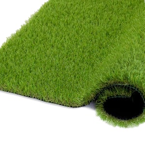 Image for Turf