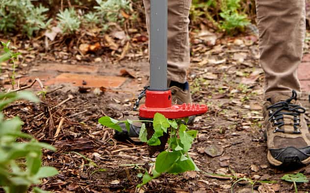 The Best Weeding Tools for Your Yard­