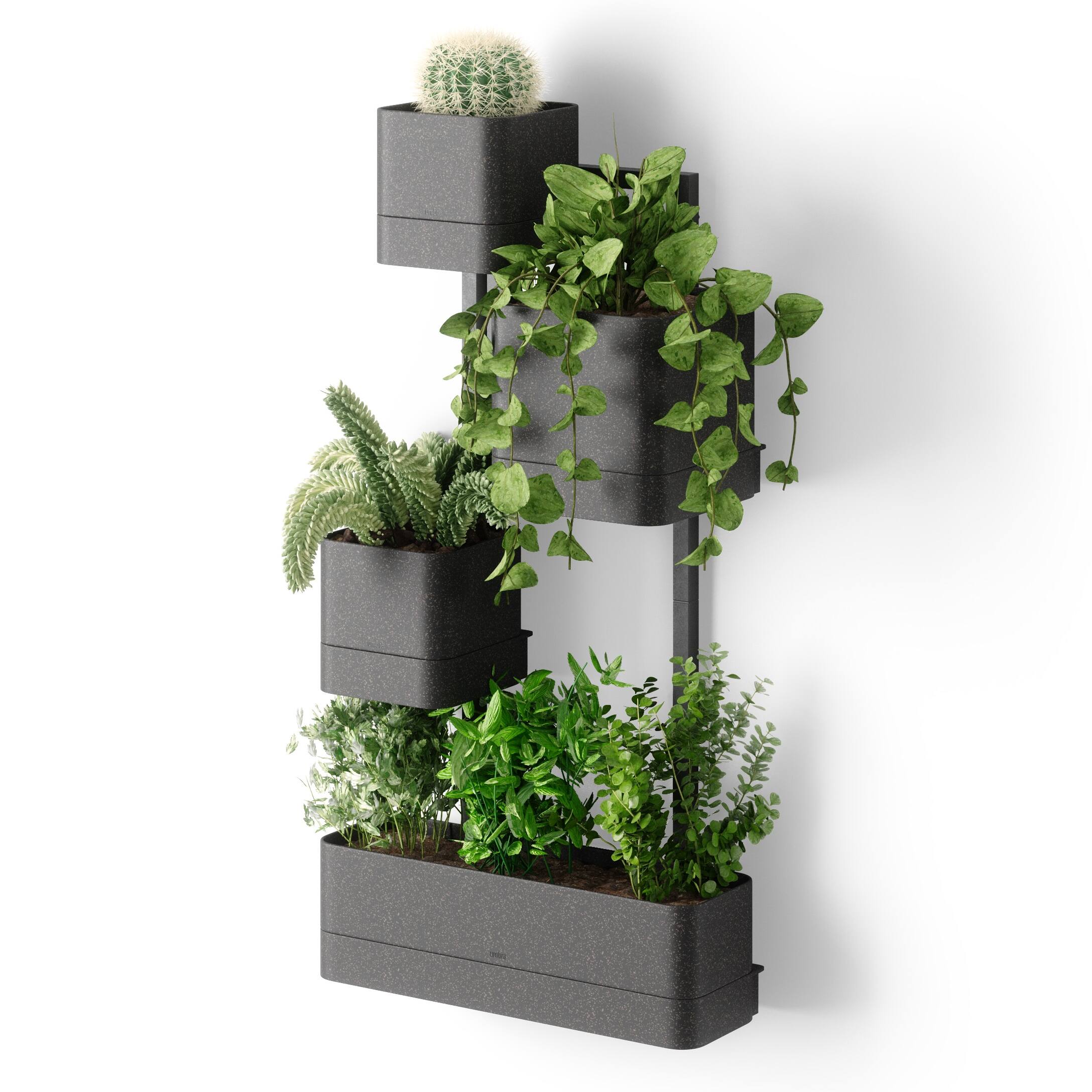 Image for Shop Wall Planters
