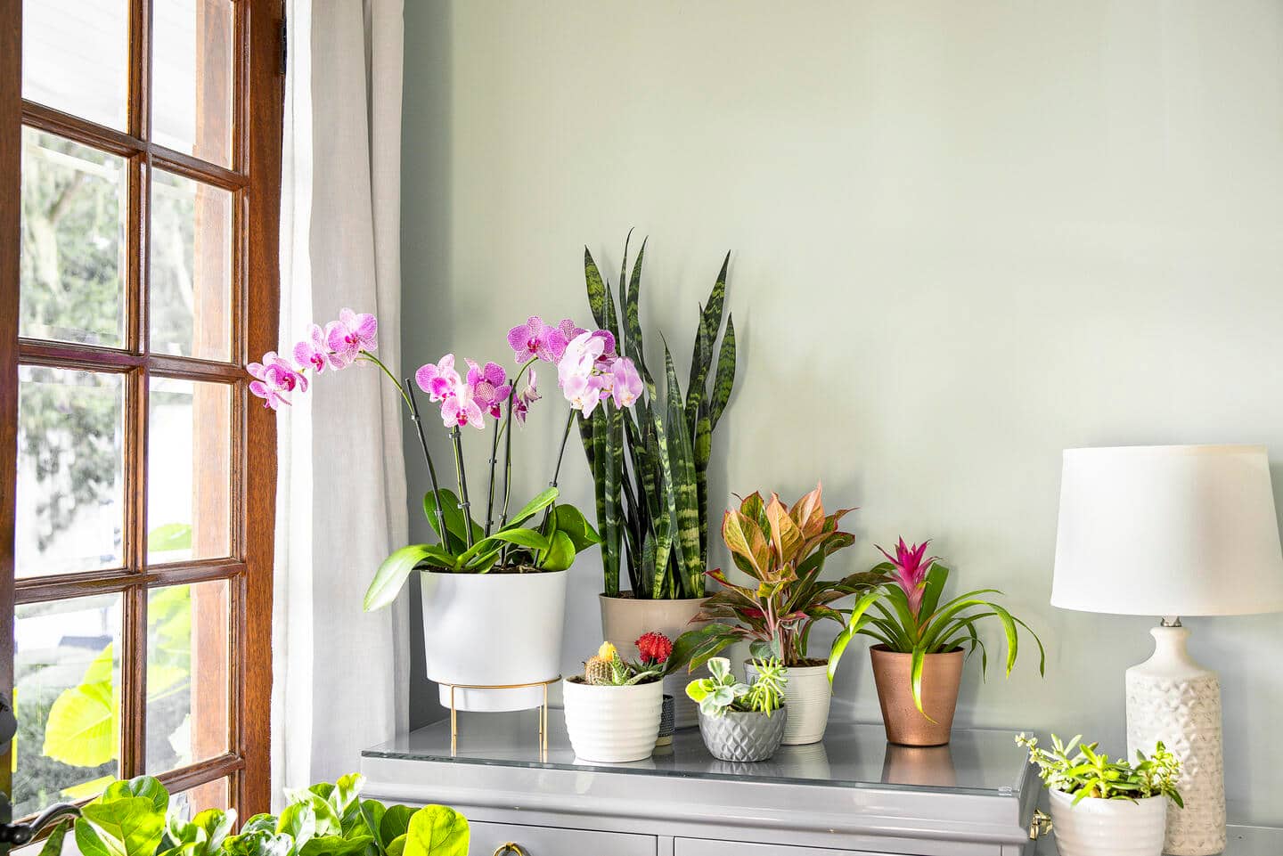 7 Beautiful Artificial Plants for Home Decor