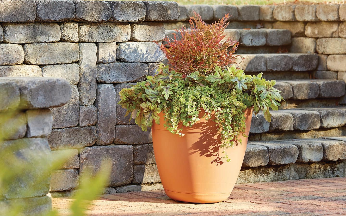 Plants in a terracotta container in front of a stone wall and stairs.