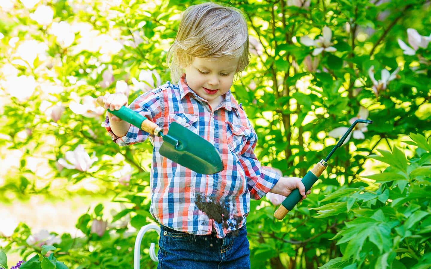 A small child in a garden uses a trowel and weeding tool A small child in a garden uses a trowel and weeding tool