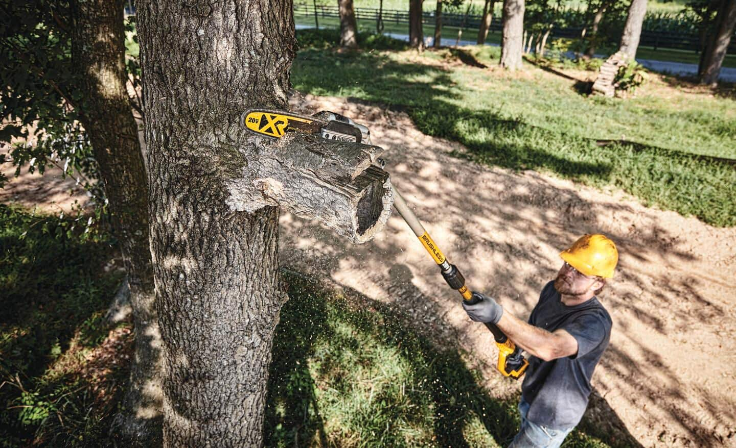 Must-Have Outdoor Power Tools