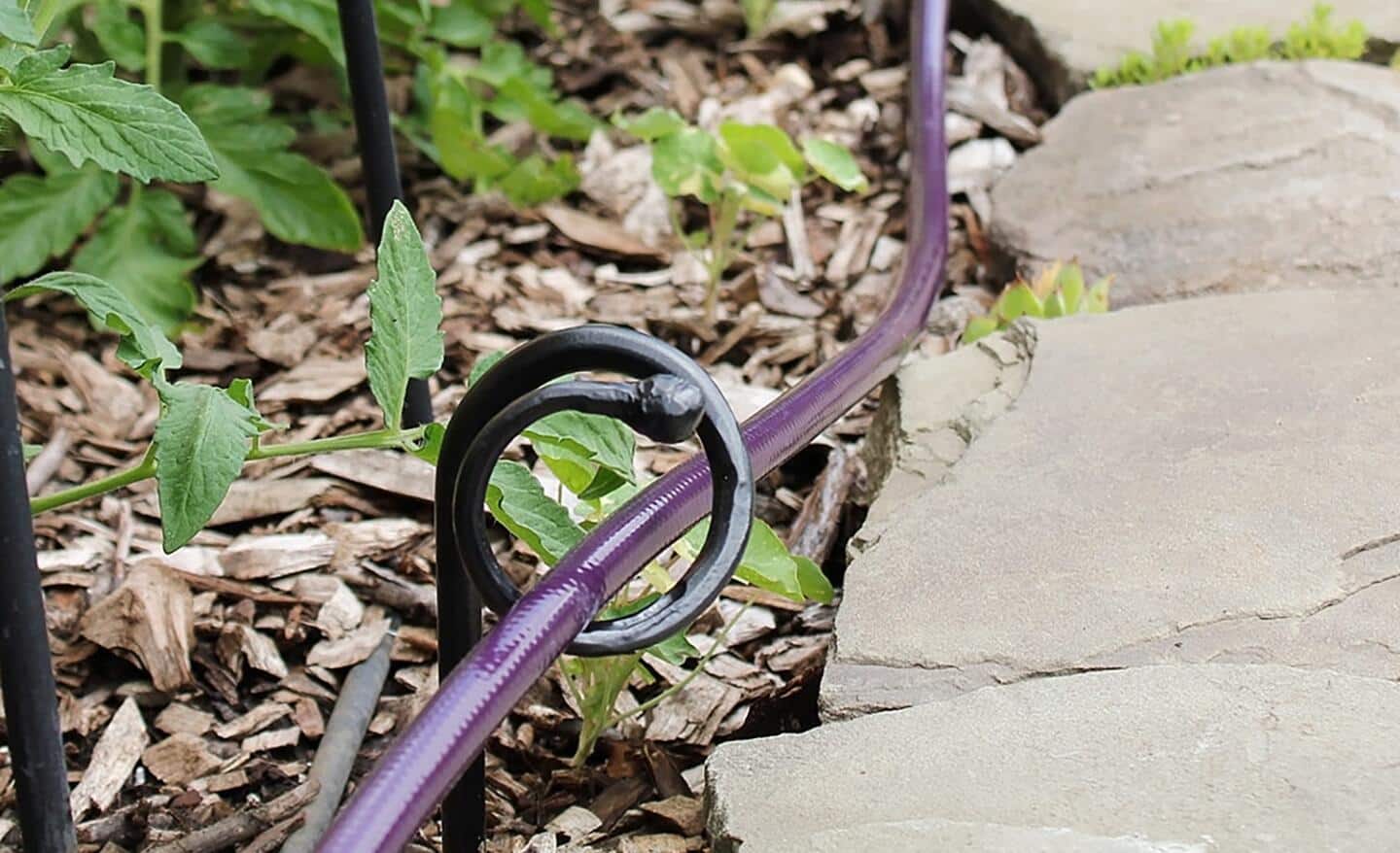 A metal hose guide holds a hose in place along a path