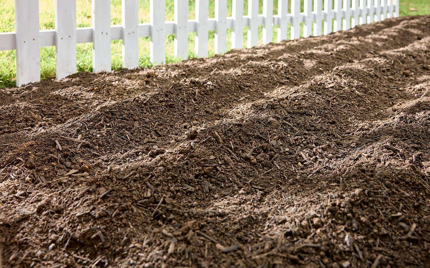 Garden soil with furrows for sowing seeds
