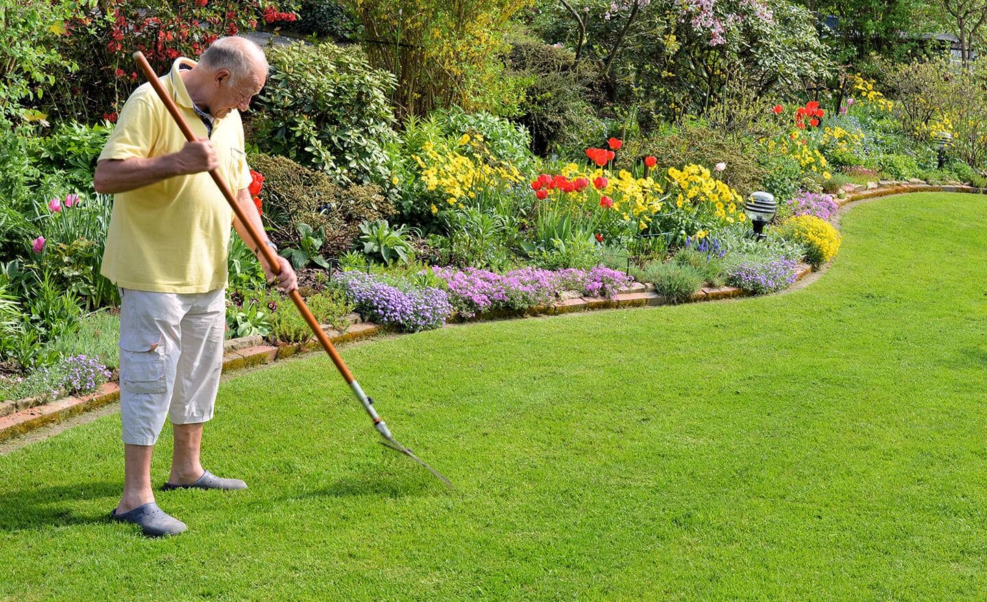 A person rakes a lawn in springtime. A person rakes a lawn in springtime.