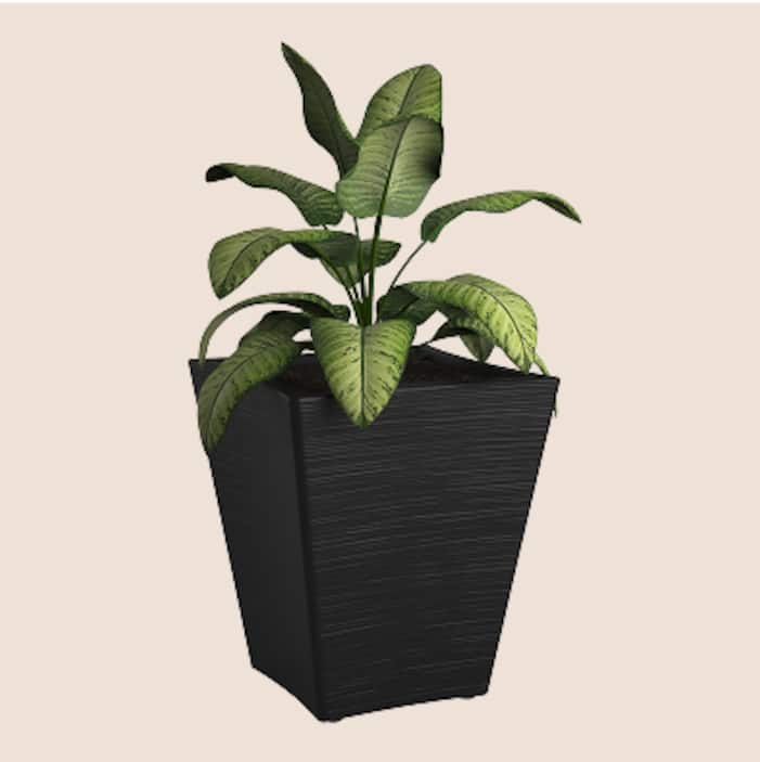 Planters